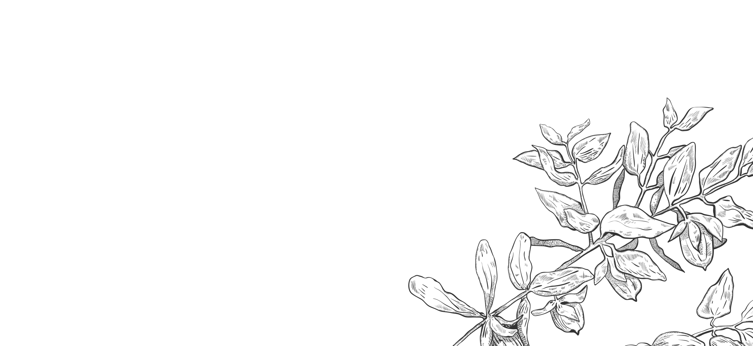 Praxis Veenker Therapien Hintergrund