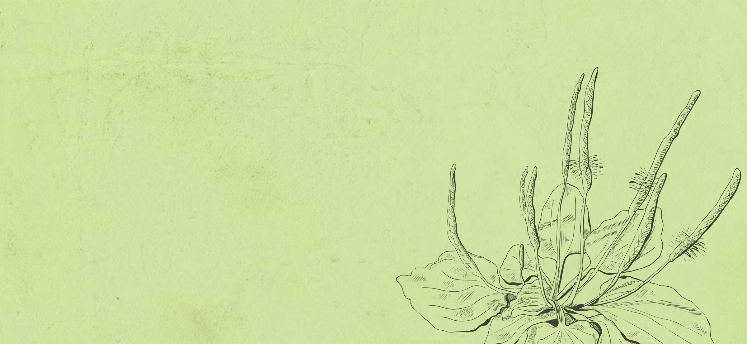 Susanne Veenker Praxis Anästhesie Hintergrund